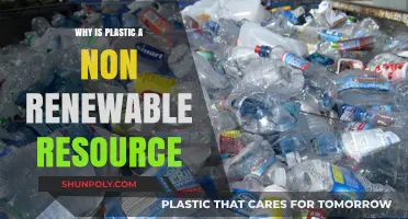 Plastic: A Non-Renewable Resource and Its Environmental Impact