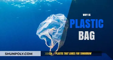 Why Plastic Bags Persist: Environmental Impact and Sustainable Alternatives