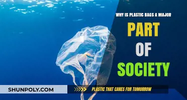 Plastic Bags: Society's Ubiquitous Convenience and Environmental Dilemma Explained