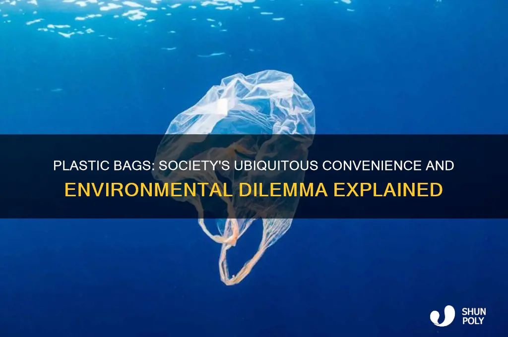 why is plastic bags a major part of society