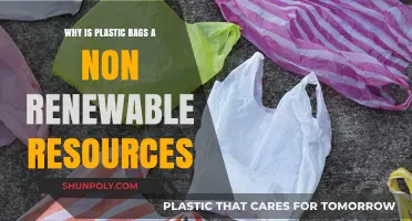 Plastic Bags: The Non-Renewable Threat to Our Environment Explained
