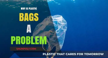 Plastic Bags: Environmental Hazards and Their Impact on Our Planet