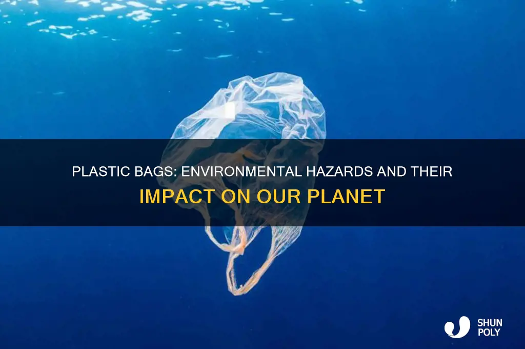 why is plastic bags a problem