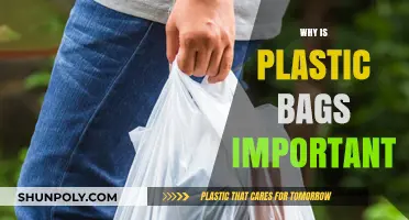 The Surprising Importance of Plastic Bags in Modern Life