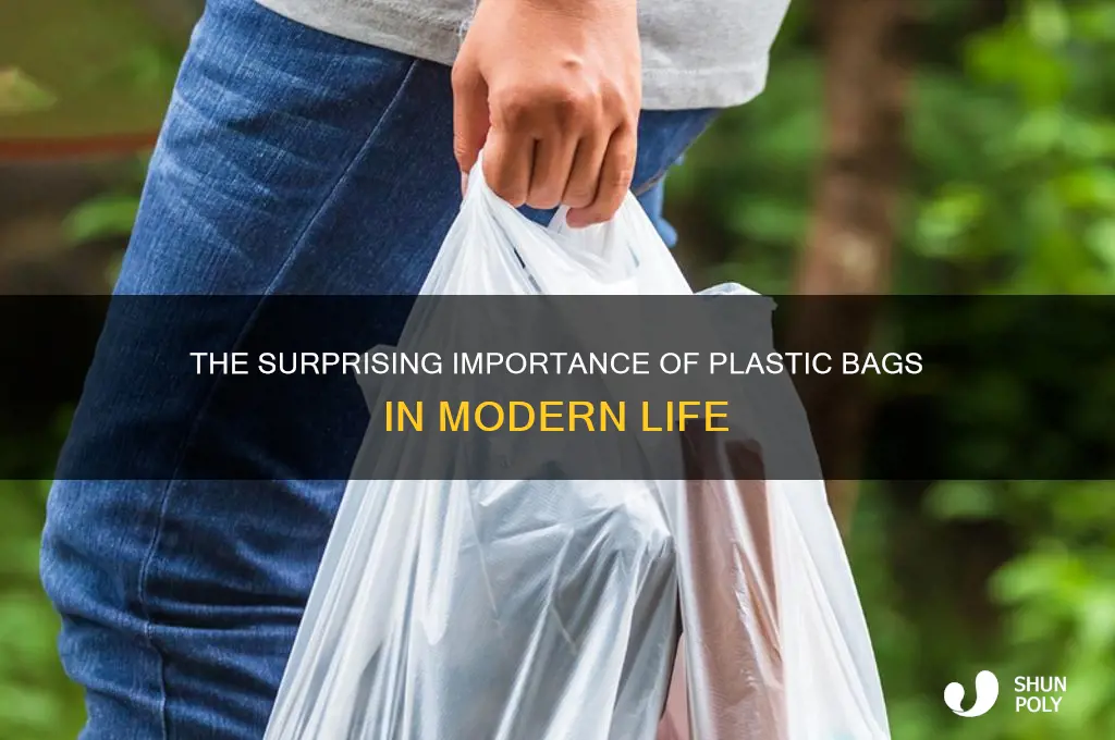 why is plastic bags important
