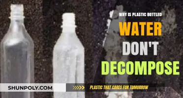 Why Plastic Bottled Water Persists: The Indestructible Environmental Threat