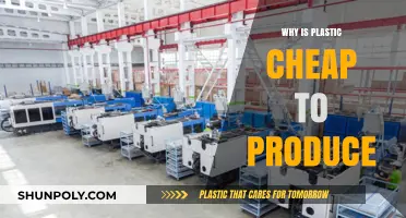 How Plastic's Affordability Impacts Our Planet