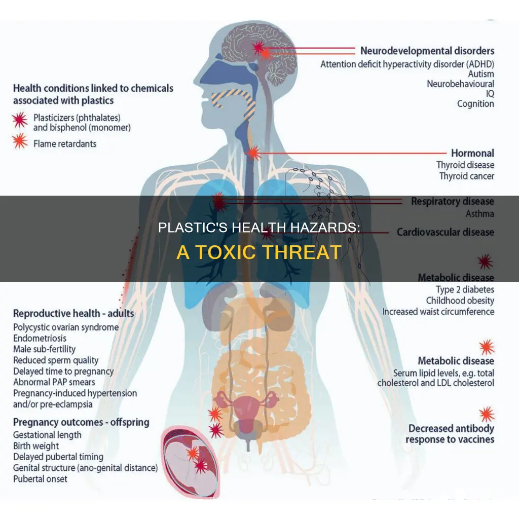why is plastic dangerous for health