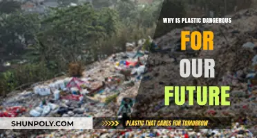 The Dark Side of Plastic: Our Future at Stake
