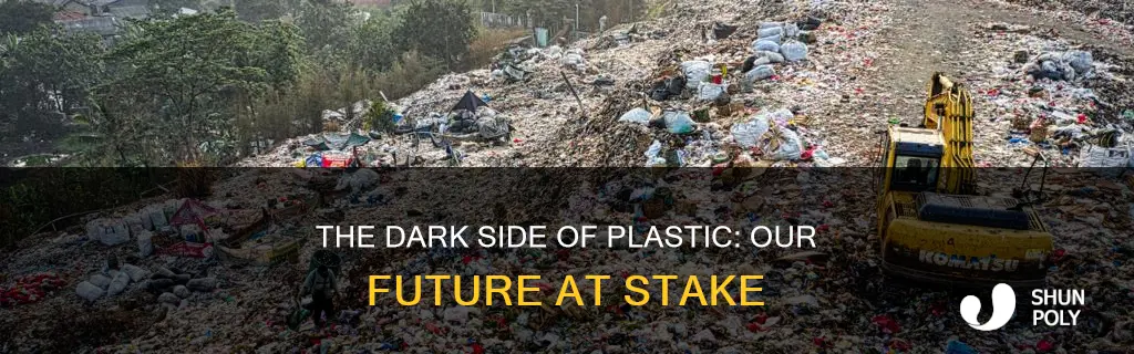 why is plastic dangerous for our future