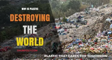 Plastic's Destructive Impact: A Global Crisis