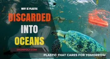 Plastic Pollution: Understanding the Impact on Our Oceans