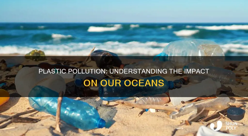 why is plastic discarded into oceans