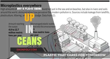 The Plastic Crisis: How It's Ending Up in Our Oceans