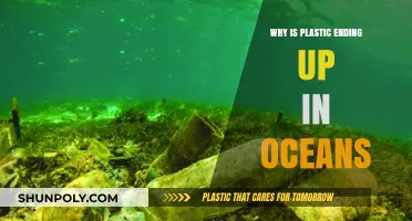Plastic Pollution: Oceans in Crisis