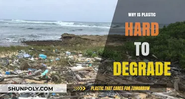 Plastic's Stubborn Persistence: Why Degradation Is Difficult