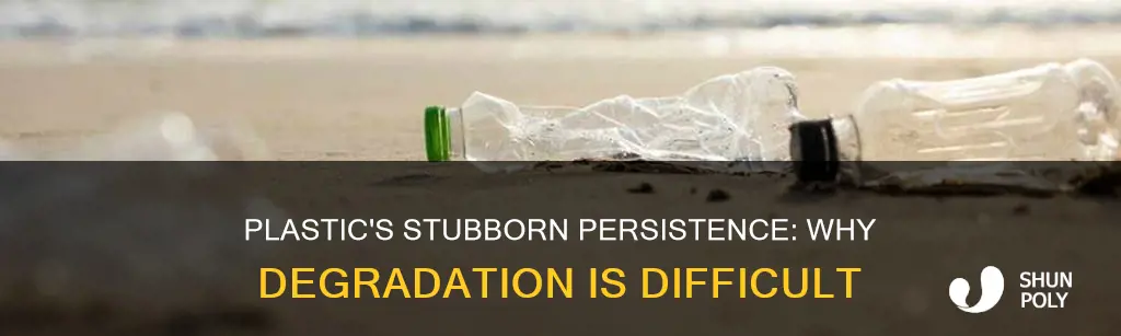 why is plastic hard to degrade