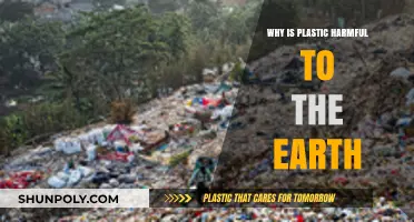 Plastic Pollution: Harming Our Planet, Our Health