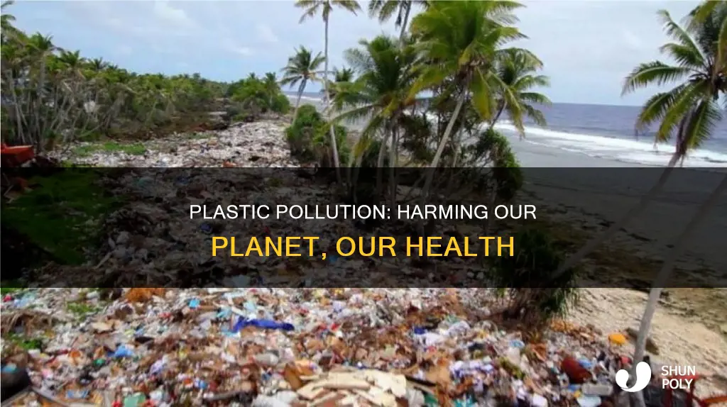 why is plastic harmful to the earth