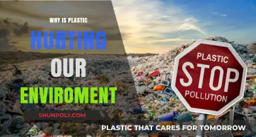 Plastic's Harmful Impact: Understanding Environmental Threats