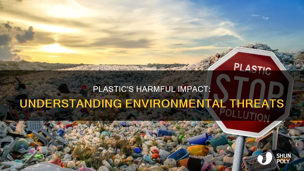 why is plastic hurting our enviroment