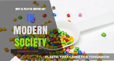 Plastic's Role: Modern Life's Necessity Explained
