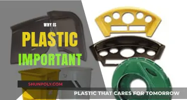 Unveiling the Indispensable Role of Plastic in Modern Society