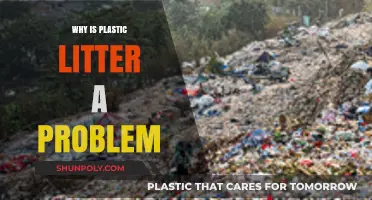Plastic Pollution: A Global Crisis