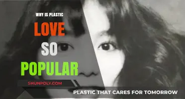 Plastic Love's Popularity: A Cultural Obsession Explained