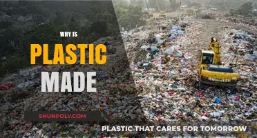 The Surprising Origins and Purpose Behind Plastic Production