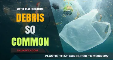 Plastic Pollution: An Ocean Emergency