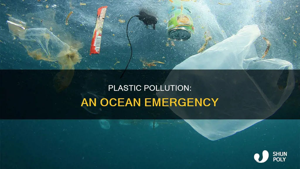 why is plastic mariine debris so common