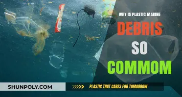 Plastic Marine Debris: An Ever-Present Ocean Threat
