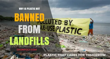 Plastic Landfill Conundrum: Why the Ban Remains Elusive