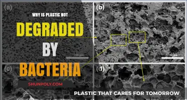Plastic's Chemical Structure Resists Bacterial Degradation