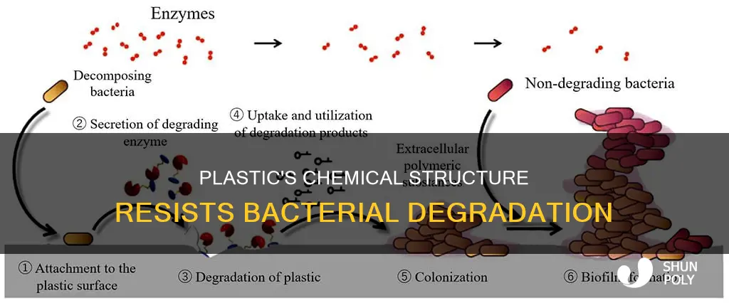 why is plastic not degraded by bacteria