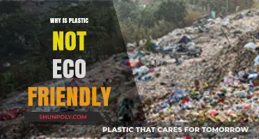 Plastic's Harmful Impact: An Eco-Unfriendly Truth