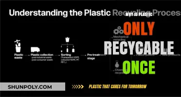 Plastic Recycling: Why Can't We Recycle It Forever?