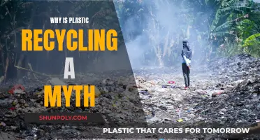 Plastic Recycling: More Myth Than Reality?