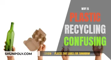 The Confounding Plastic Recycling: Why So Confusing?