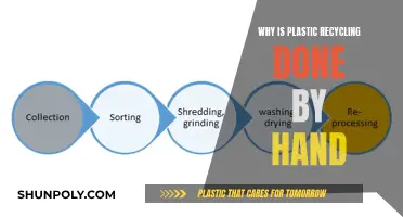 Manual Plastic Recycling: Why Hand-Sorting is Necessary