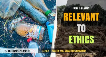 The Ethical Plastic Problem: Harming Nature, Hurting Humans