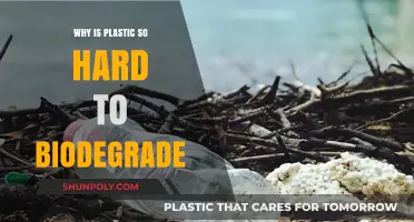 Plastic's Stubborn Persistence: Why Biodegradation is Difficult