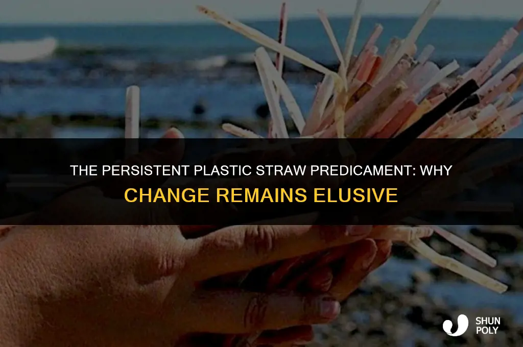 why is plastic straw problem not being fixed