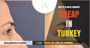 Affordable Plastic Surgery in Turkey: Uncovering the Cost-Effective Reasons