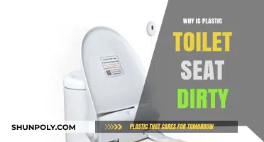 Plastic Toilet Seats: Breeding Ground for Germs