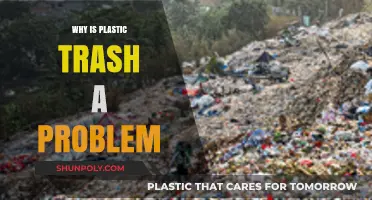 Plastic Trash: A Global Problem and a Health Hazard