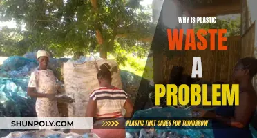 Plastic Waste: A Global Problem and Environmental Crisis