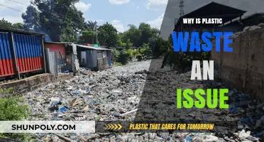 Plastic Pollution: An Environmental Crisis