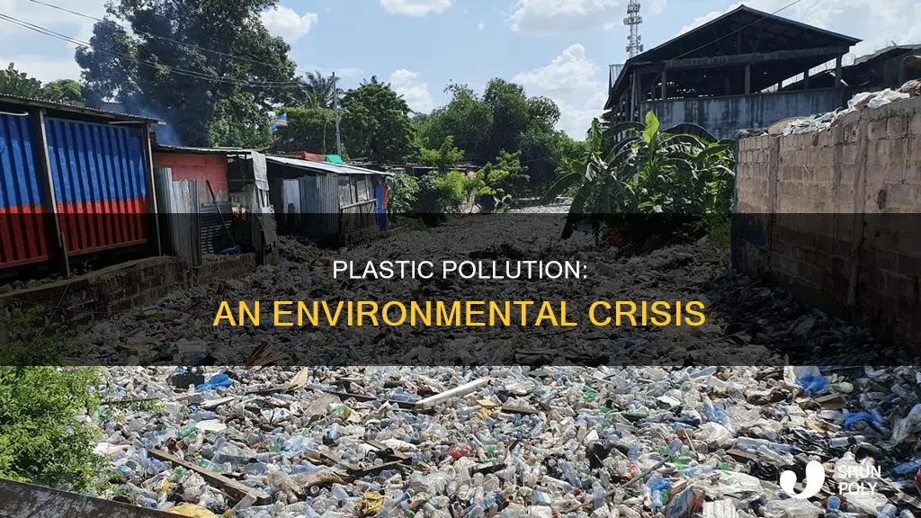 why is plastic waste an issue